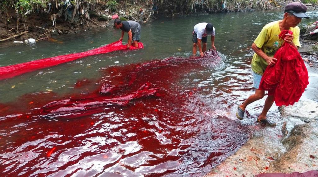 Protecting our Rivers, Protecting Ourselves