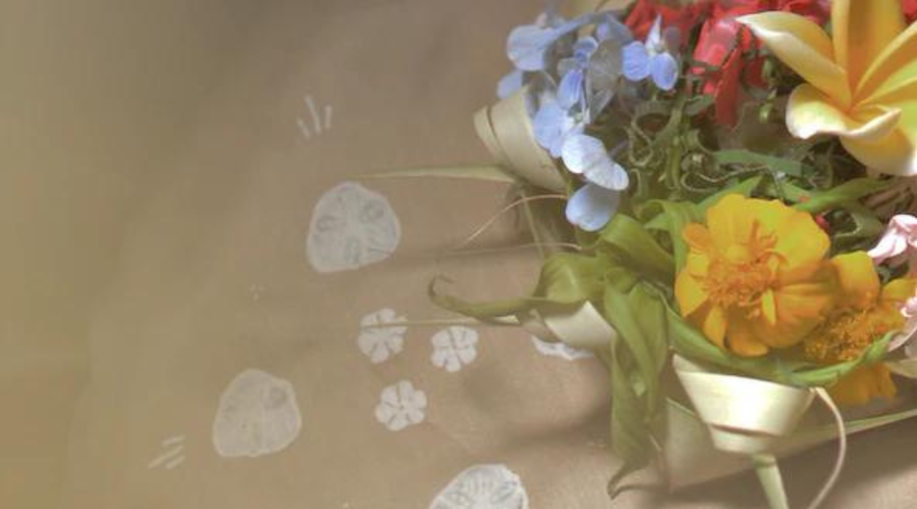 Rituals for Gratitude