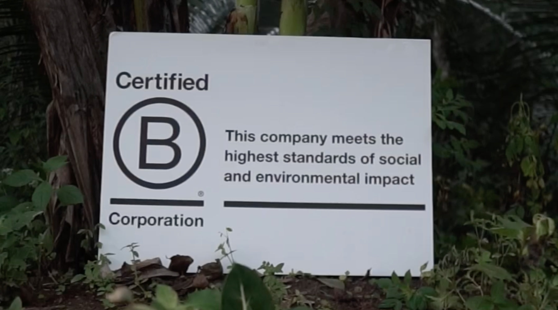 3 Years as a B Corp— and a Bigger Impact Than Ever