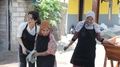 Field Notes | Natural Dye Training
