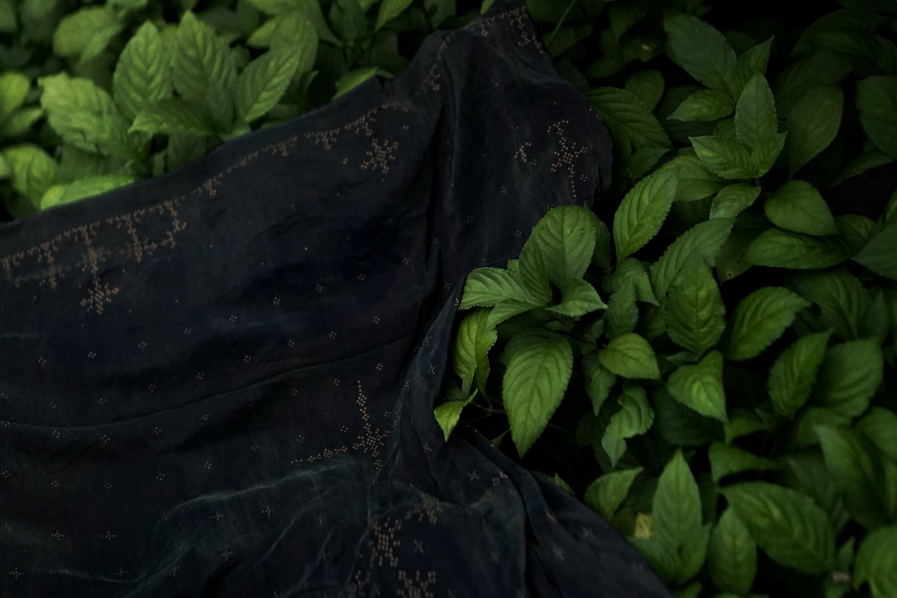 Angkasa SukkhaCitta Sustainable Batik Natural Indigo Dye B Corp Ethically Handcrafted Artisan Asmara Abigail