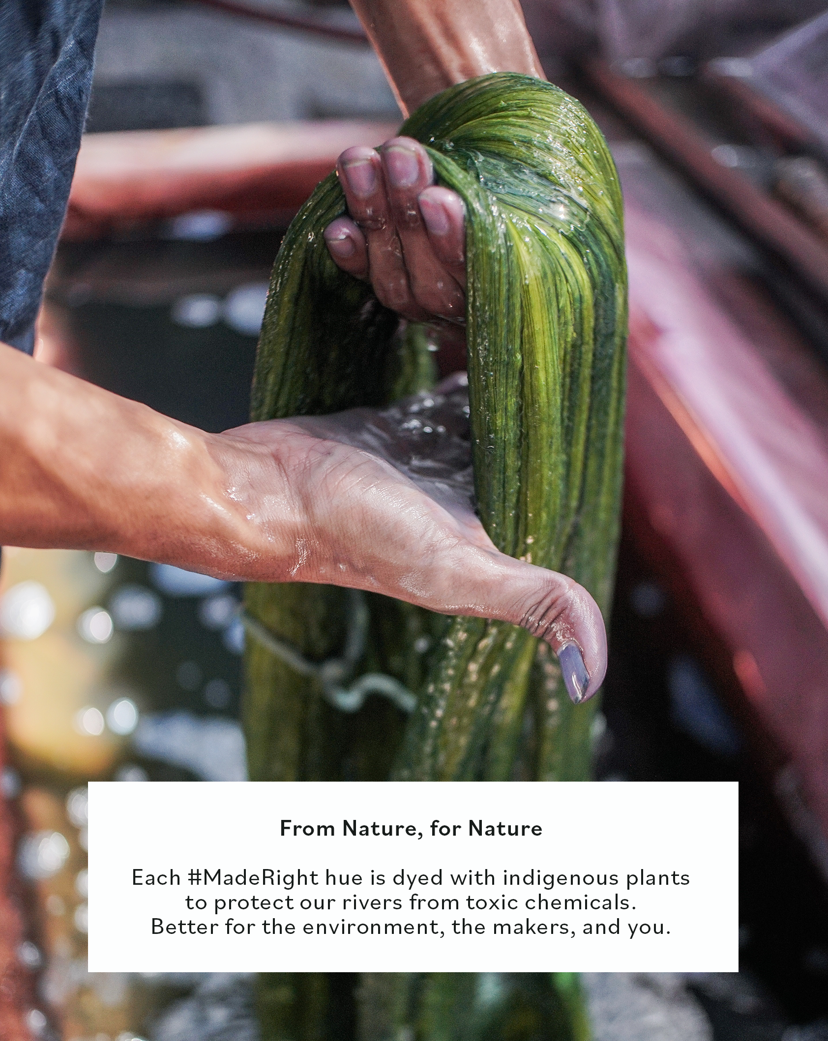 process, natural dye, indigo, plant based dye