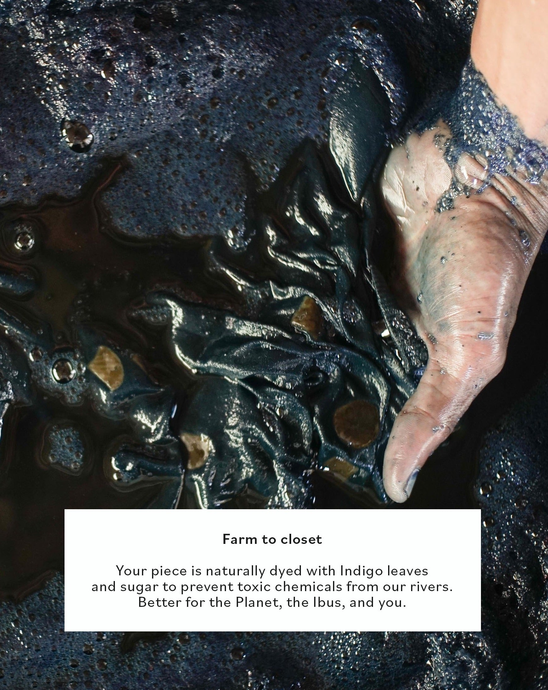 indigo dye, plant based dye, natural dye, plant based